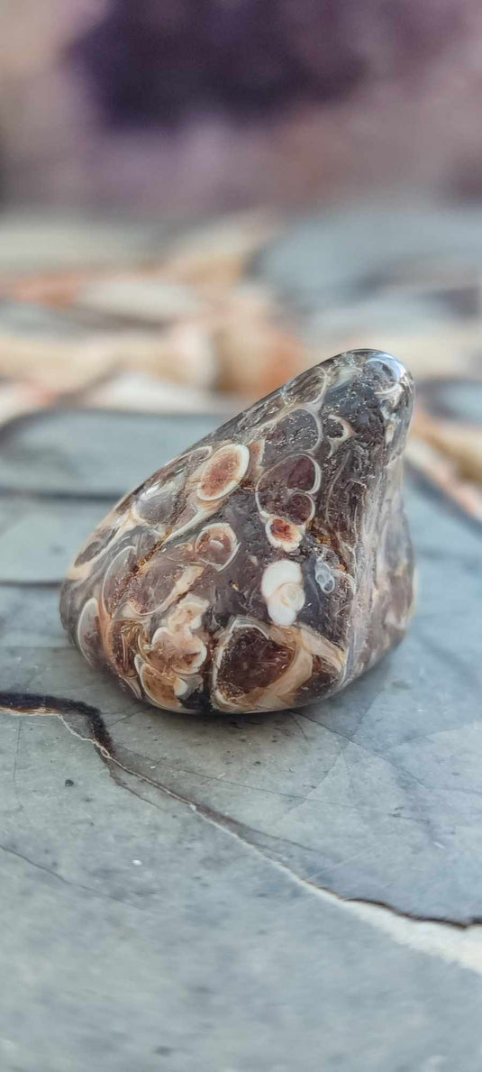 Agate Turitelle d'Uruguay pierre roulée Grade A++++ Agate Turitelle pierre roulée Dans la besace du p'tit Poucet (Boutique Officielle)