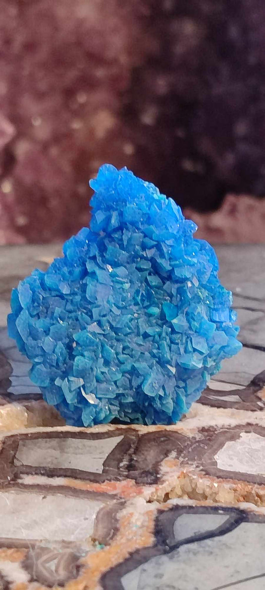 Chalcanthite de Pologne Grade A++++ Chalcanthite de Pologne Dans la besace du p'tit Poucet