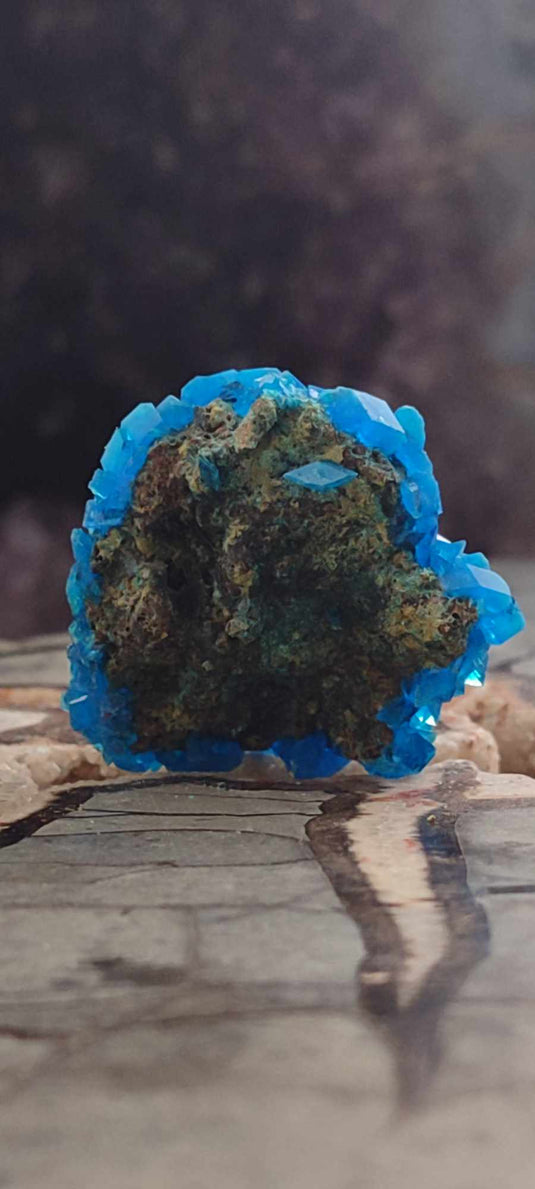 Chalcanthite de Pologne Grade A++++ Chalcanththite de Pologne Dans la besace du p'tit Poucet