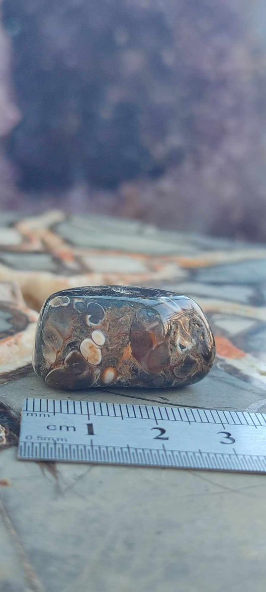 Agate Turitelle d'Uruguay pierre roulée Grade A++++ Agate Turitelle pierre roulée Dans la besace du p'tit Poucet (Boutique Officielle)