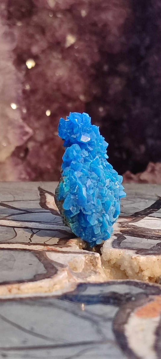 Chalcanthite de Pologne Grade A++++ Chalcanthite de Pologne Dans la besace du p'tit Poucet