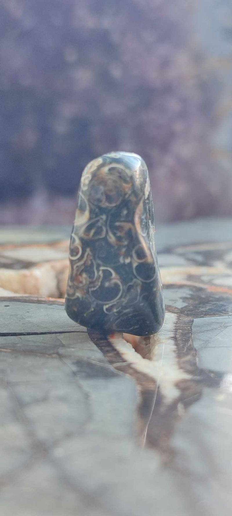 Chargez l&#39;image dans la visionneuse de la galerie, Agate Turitelle d&#39;Uruguay pierre roulée Grade A++++ Agate Turitelle pierre roulée Dans la besace du p&#39;tit Poucet (Boutique Officielle)
