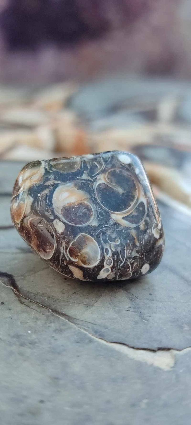 Chargez l&#39;image dans la visionneuse de la galerie, Agate Turitelle d&#39;Uruguay pierre roulée Grade A++++ Agate Turitelle pierre roulée Dans la besace du p&#39;tit Poucet (Boutique Officielle)
