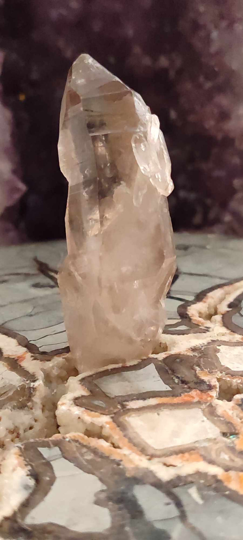 Chargez l&#39;image dans la visionneuse de la galerie, Quartz fumé du Brésil pointe brute Grade A++++ Quartz fumé Dans la besace du p&#39;tit Poucet (Boutique Officielle)
