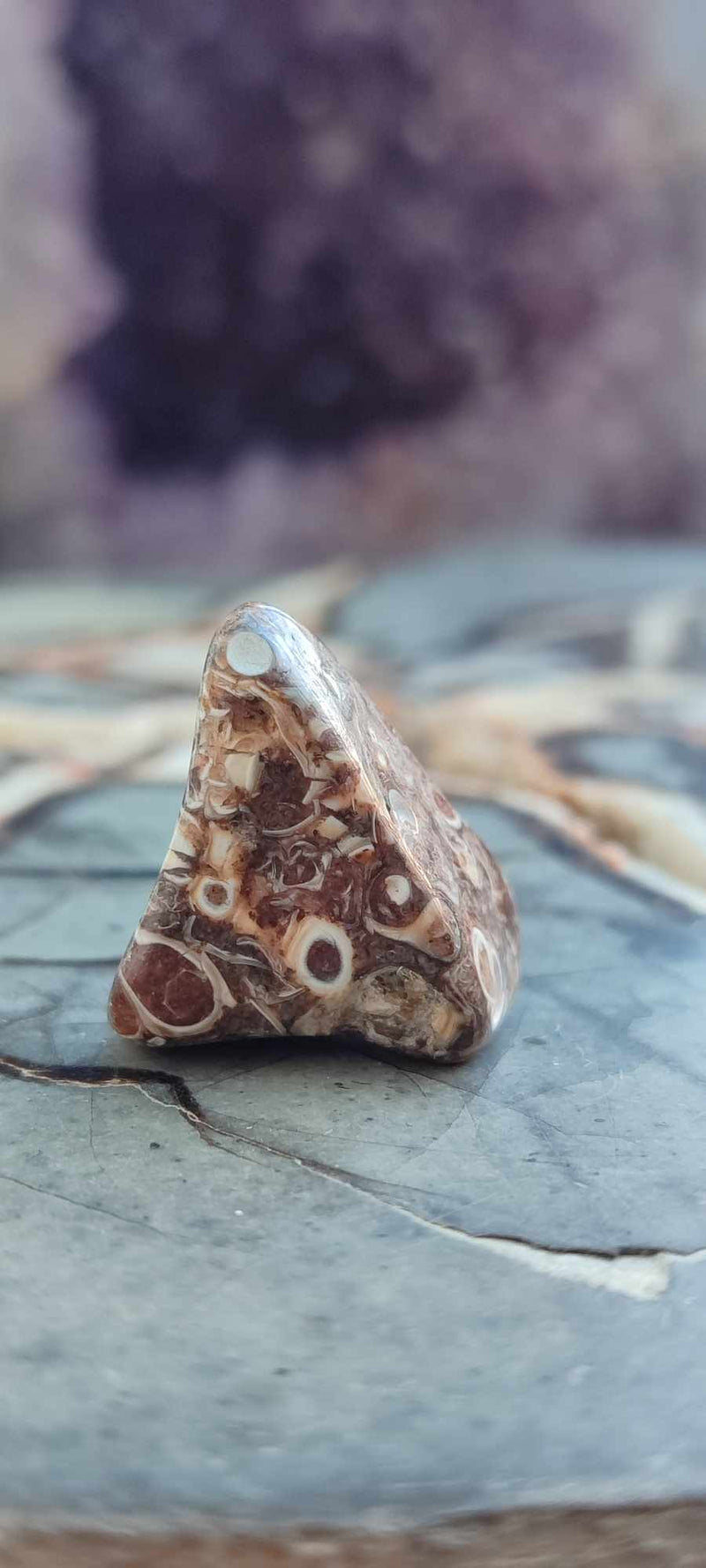 Chargez l&#39;image dans la visionneuse de la galerie, Agate Turitelle d&#39;Uruguay pierre roulée Grade A++++ Agate Turitelle pierre roulée Dans la besace du p&#39;tit Poucet (Boutique Officielle)
