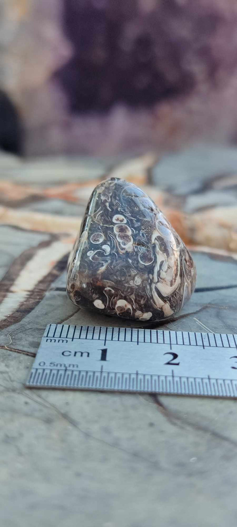 Chargez l&#39;image dans la visionneuse de la galerie, Agate Turitelle d&#39;Uruguay pierre roulée Grade A++++ Agate Turitelle pierre roulée Dans la besace du p&#39;tit Poucet (Boutique Officielle)
