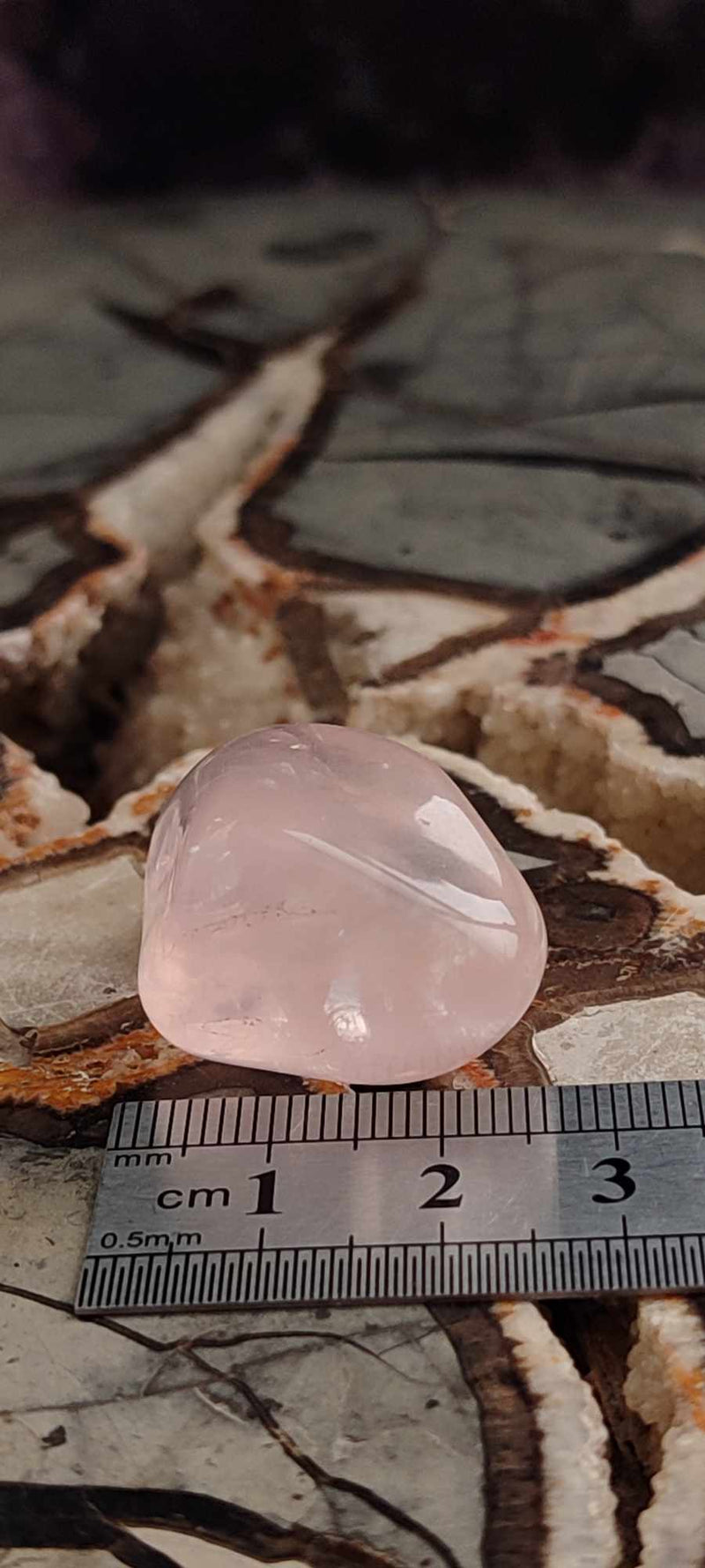 Chargez l&#39;image dans la visionneuse de la galerie, Quartz rose du Brésil, pierre roulée Grade A++++ quartz rose pierre roulée Dans la besace du p&#39;tit Poucet (Boutique Officielle)
