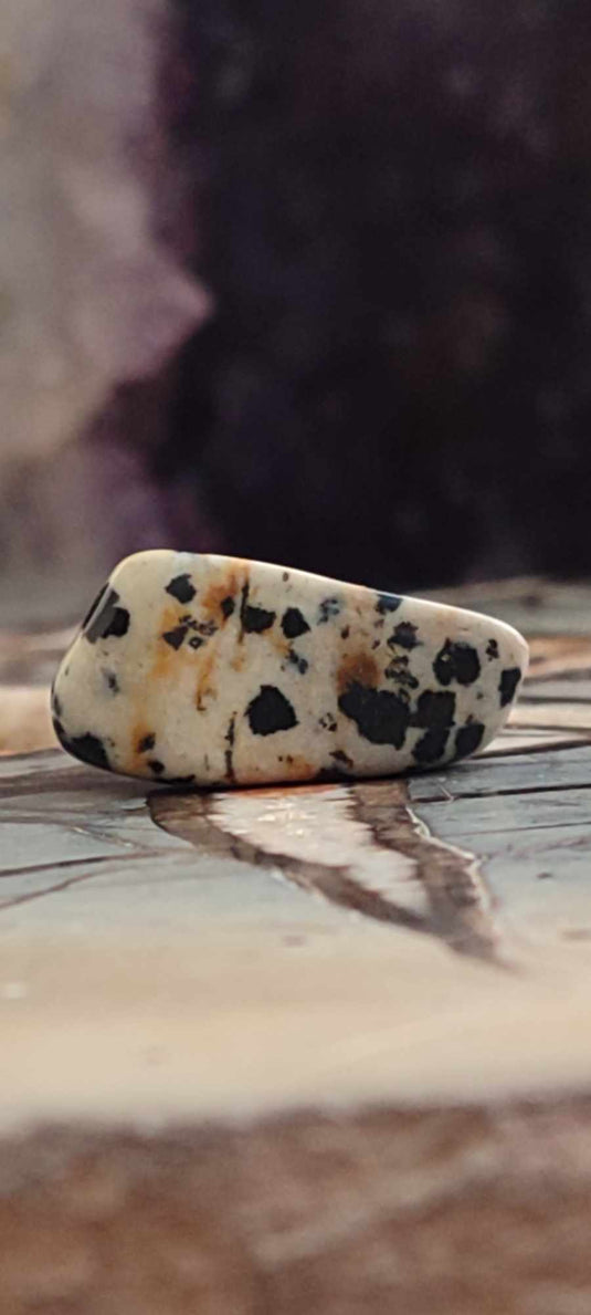 Jaspe dalmatien du Brésil pierre roulée Grade A++++