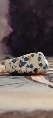 Jaspe dalmatien du Brésil pierre roulée Grade A++++