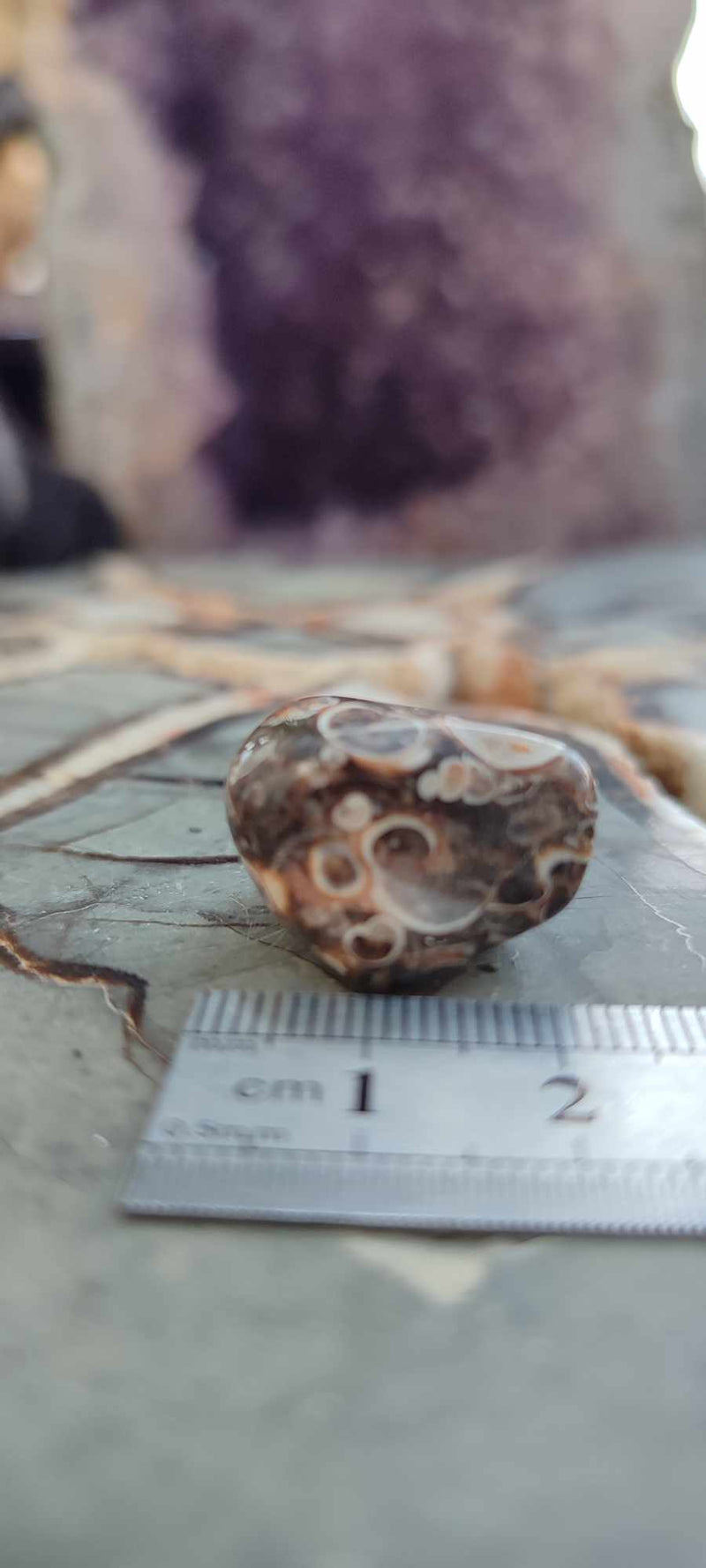 Chargez l&#39;image dans la visionneuse de la galerie, Agate Turitelle d&#39;Uruguay pierre roulée Grade A++++ Agate Turitelle pierre roulée Dans la besace du p&#39;tit Poucet (Boutique Officielle)
