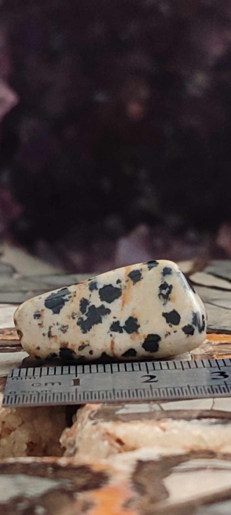 Load image into Gallery viewer, Jaspe dalmatien du Brésil pierre roulée Grade A++++ Jaspe dalmatien pierre roulée Dans la besace du p&#39;tit Poucet (Boutique Officielle)
