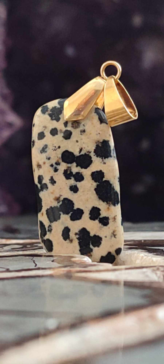 Jaspe dalmatien du Brésil pendentif Grade A++++ (fourni avec cordon)