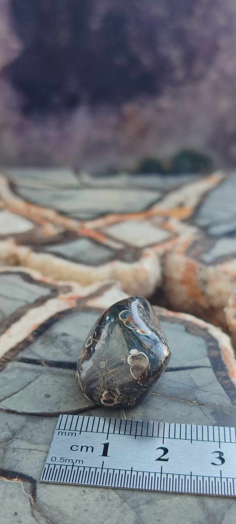 Chargez l&#39;image dans la visionneuse de la galerie, Agate Turitelle d&#39;Uruguay pendentif Grade A++++ Agate Turitelles fossile pendentif Dans la besace du p&#39;tit Poucet (Boutique Officielle)
