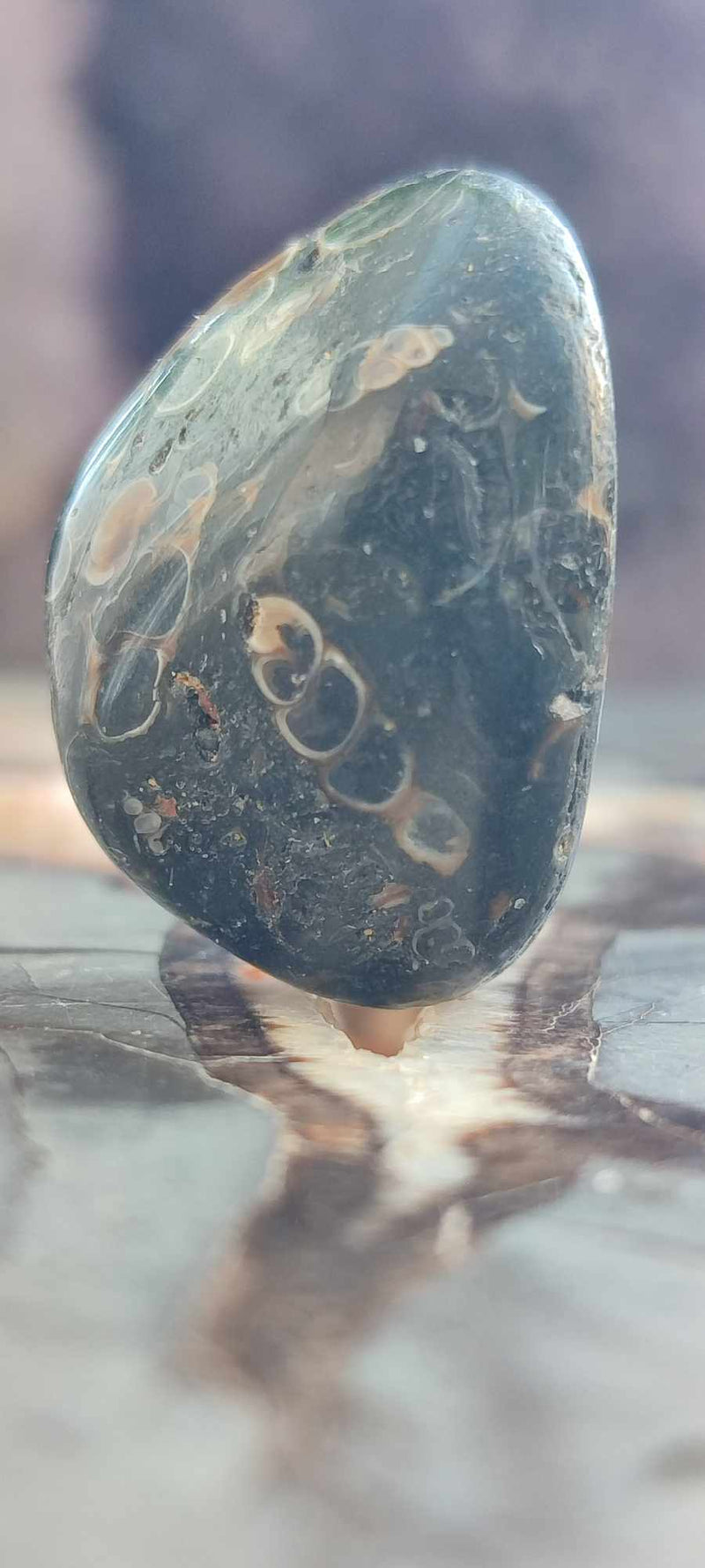 Chargez l&#39;image dans la visionneuse de la galerie, Agate Turitelle d&#39;Uruguay pierre roulée Grade A++++ Agate Turitelle pierre roulée Dans la besace du p&#39;tit Poucet (Boutique Officielle)
