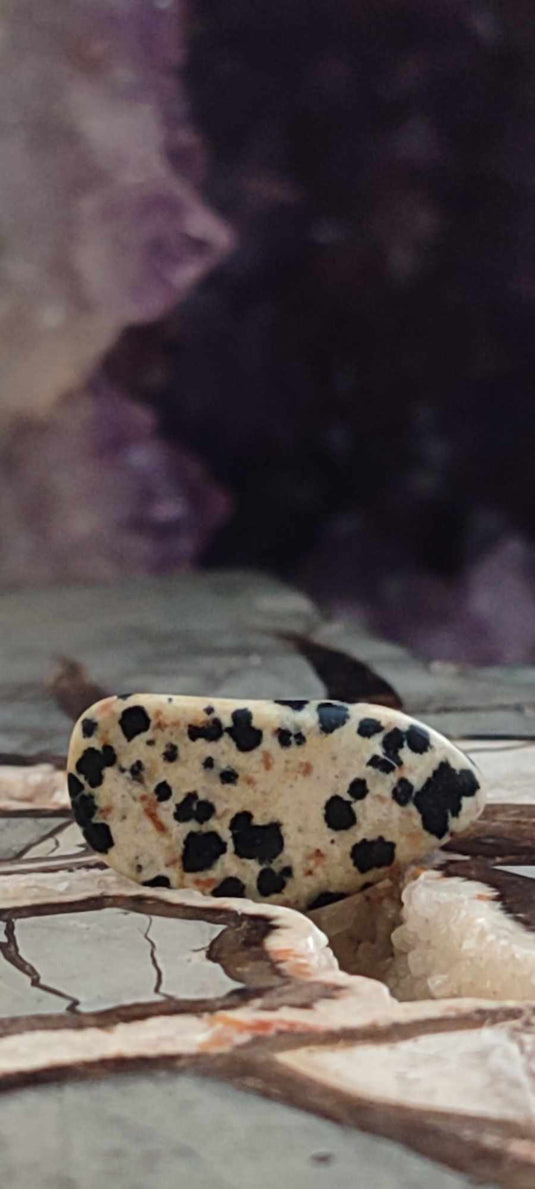 Jaspe dalmatien du Brésil pierre roulée Grade A++++