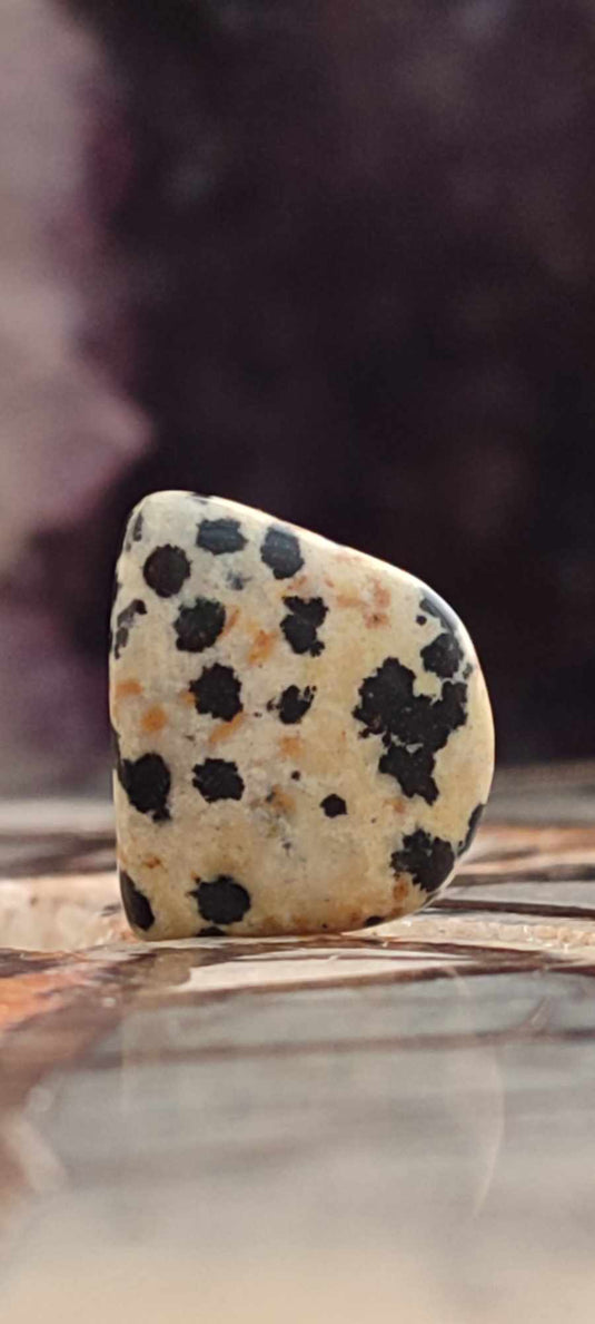 Jaspe dalmatien du Brésil  pierre roulée Grade A++++