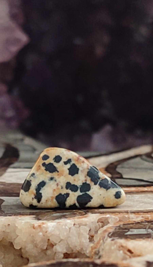 Jaspe dalmatien du Brésil pierre roulée Grade A++++