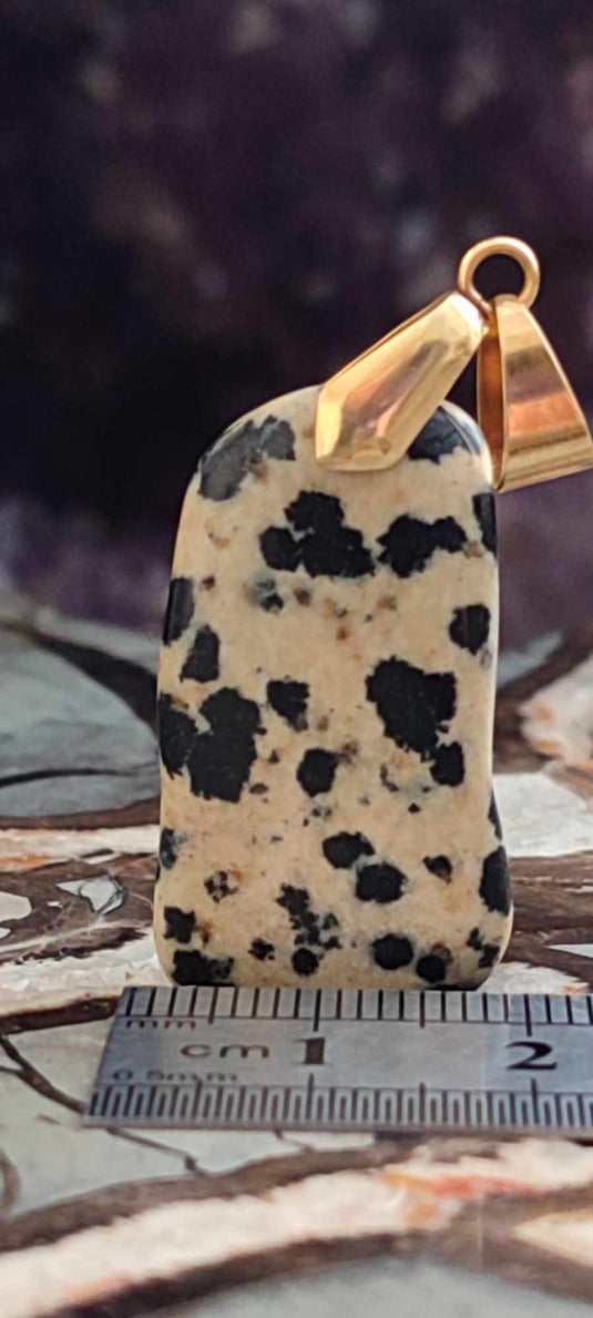 Jaspe dalmatien du Brésil pendentif Grade A++++ (fourni avec cordon)