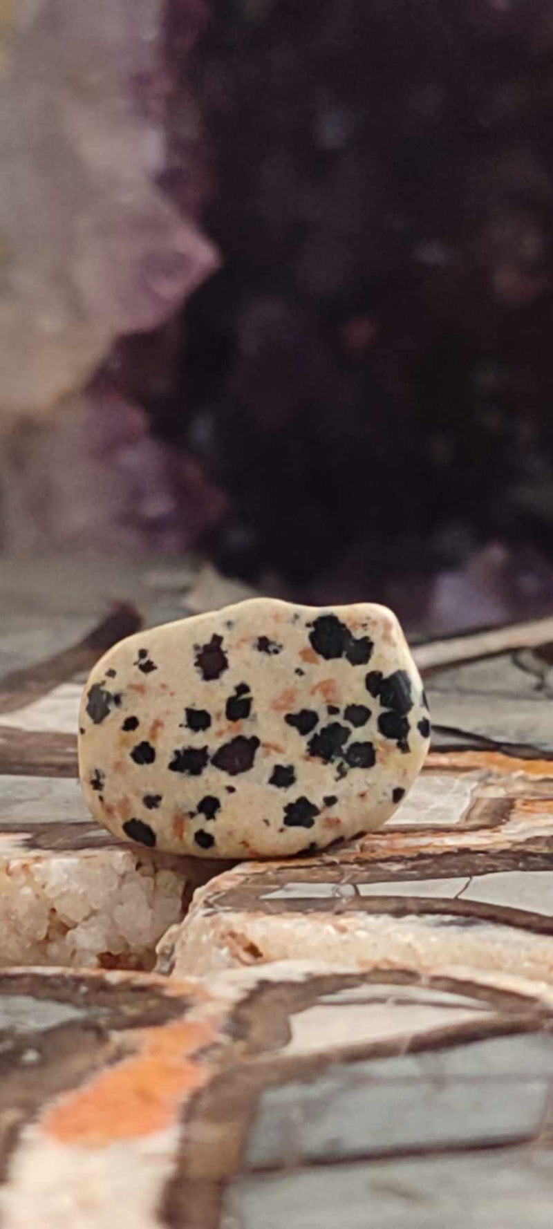 Load image into Gallery viewer, Jaspe dalmatien du Brésil pierre roulée Grade A++++ Jaspe dalmatien pierre roulée Dans la besace du p&#39;tit Poucet (Boutique Officielle)
