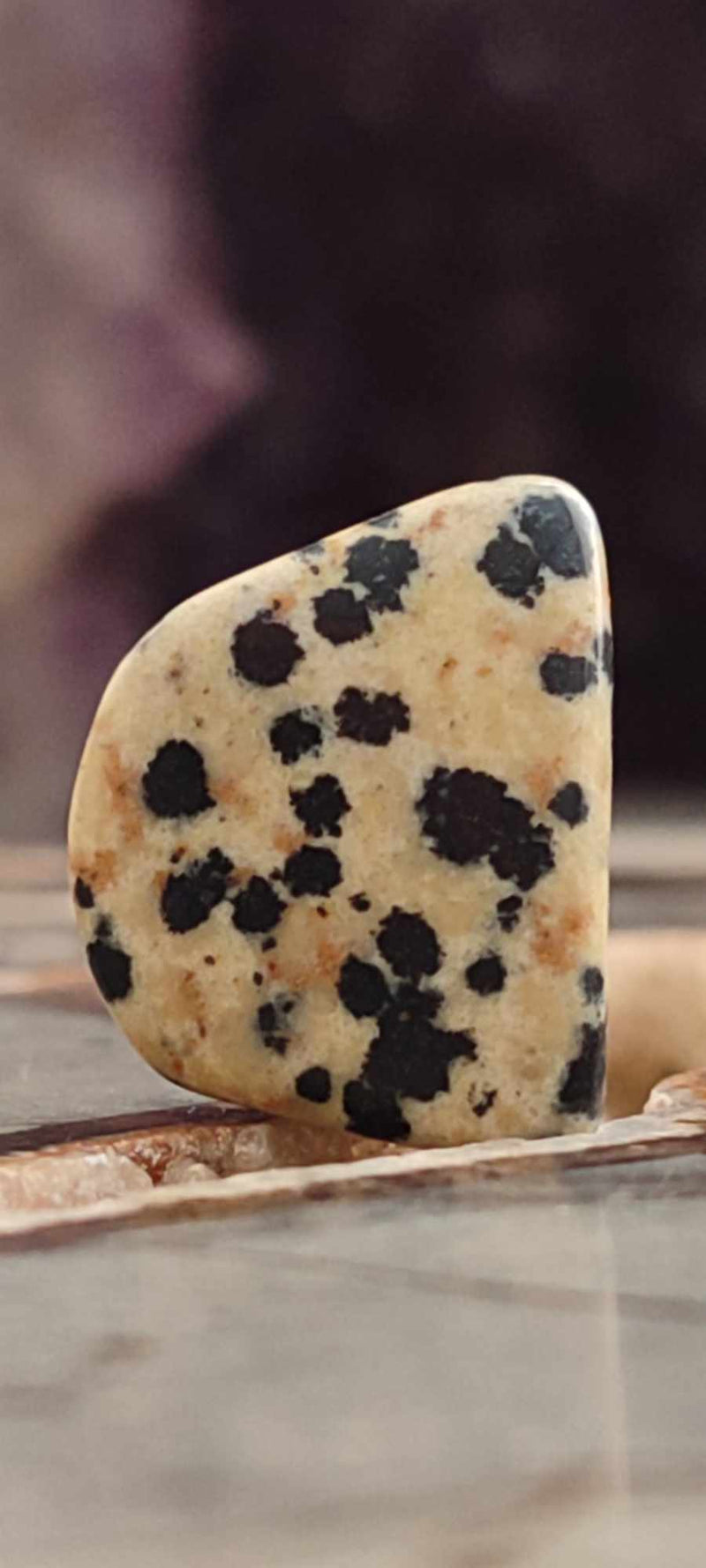 Load image into Gallery viewer, Jaspe dalmatien du Brésil pierre roulée Grade A++++ Jaspe dalmatien pierre roulée Dans la besace du p&#39;tit Poucet (Boutique Officielle)
