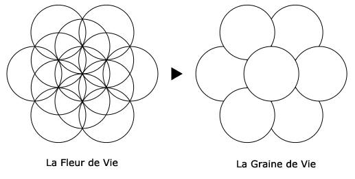 Shape Waves and Sacred Geometries