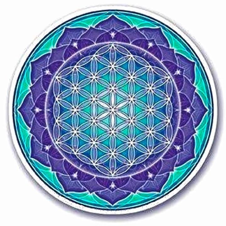 Shape Waves and Sacred Geometries