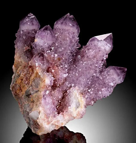 La Grande Famille des Améthystes - Guide Comparatif Complet des Bienfaits & Vertus en Lithothérapie