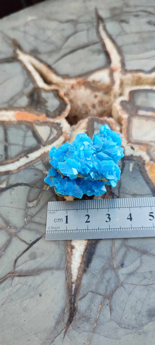 Chalcanthite de Pologne Grade A++++ Chalcanthite de Pologne Dans la besace du p'tit Poucet