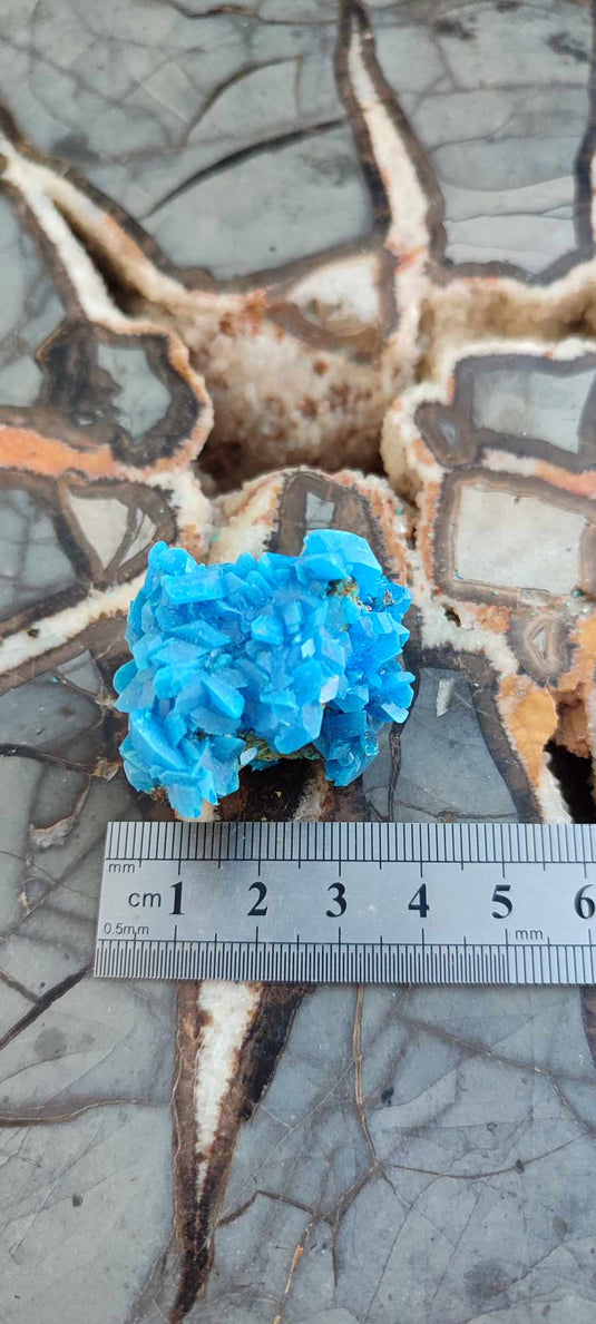 Chalcanthite de Pologne Grade A++++ Chalcanthite de Pologne Dans la besace du p'tit Poucet