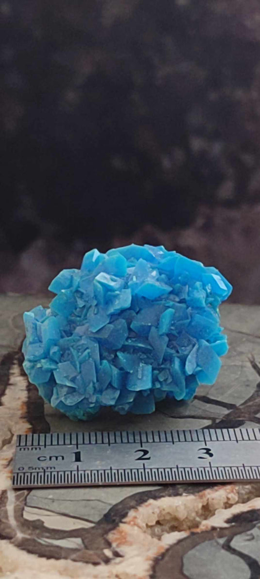 Chalcanthite de Pologne Grade A++++ Chalcanthite de Pologne Dans la besace du p'tit Poucet