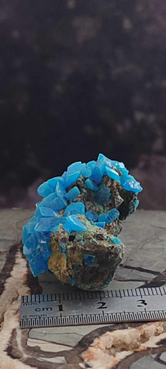 Chalcanthite de Pologne Grade A++++ Chalcanthite de Pologne Dans la besace du p'tit Poucet