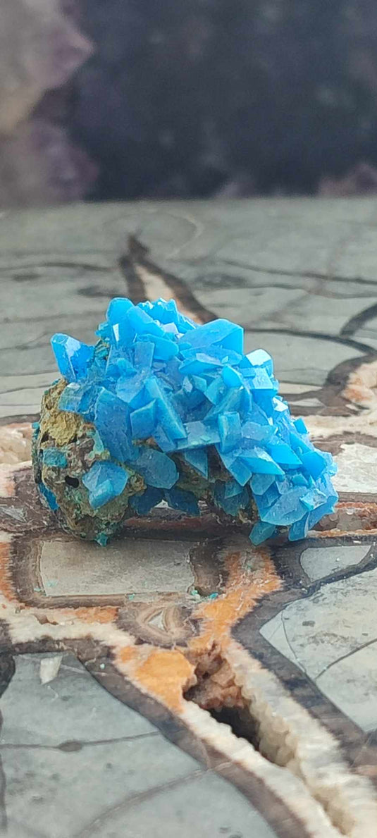 Chalcanthite de Pologne Grade A++++ Chalcanthite de Pologne Dans la besace du p'tit Poucet