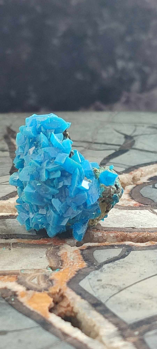 Chalcanthite de Pologne Grade A++++ Chalcanthite de Pologne Dans la besace du p'tit Poucet