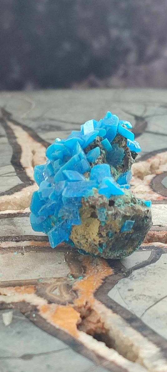 Chalcanthite de Pologne Grade A++++ Chalcanthite de Pologne Dans la besace du p'tit Poucet