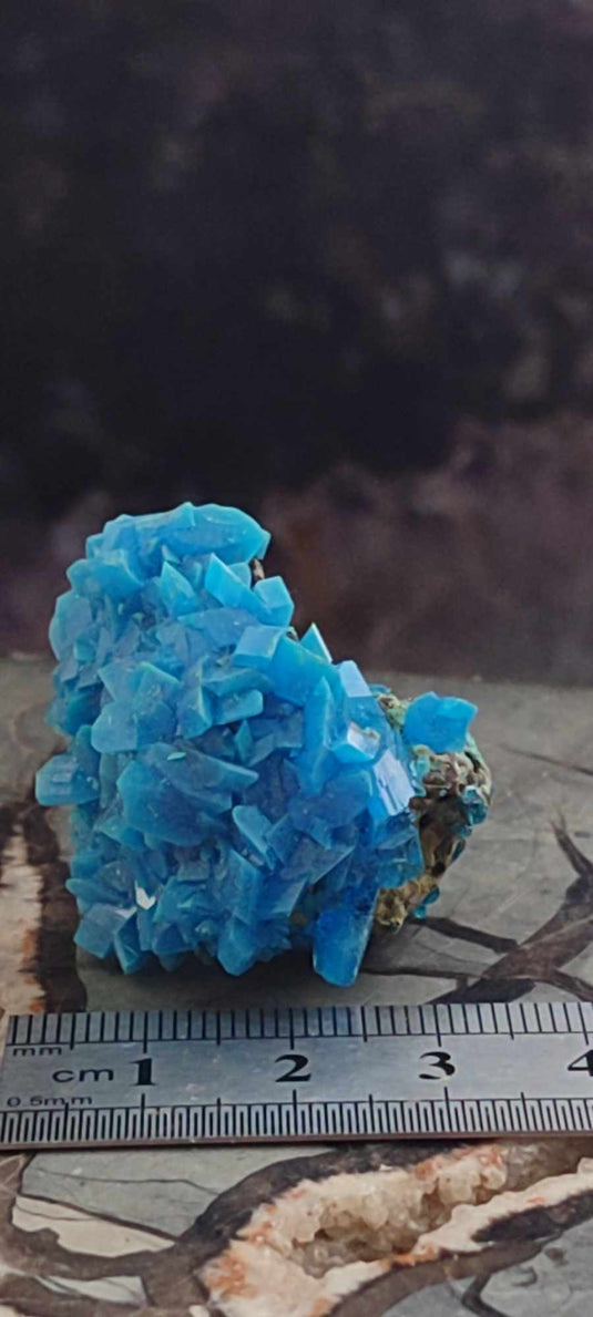 Chalcanthite de Pologne Grade A++++ Chalcanthite de Pologne Dans la besace du p'tit Poucet