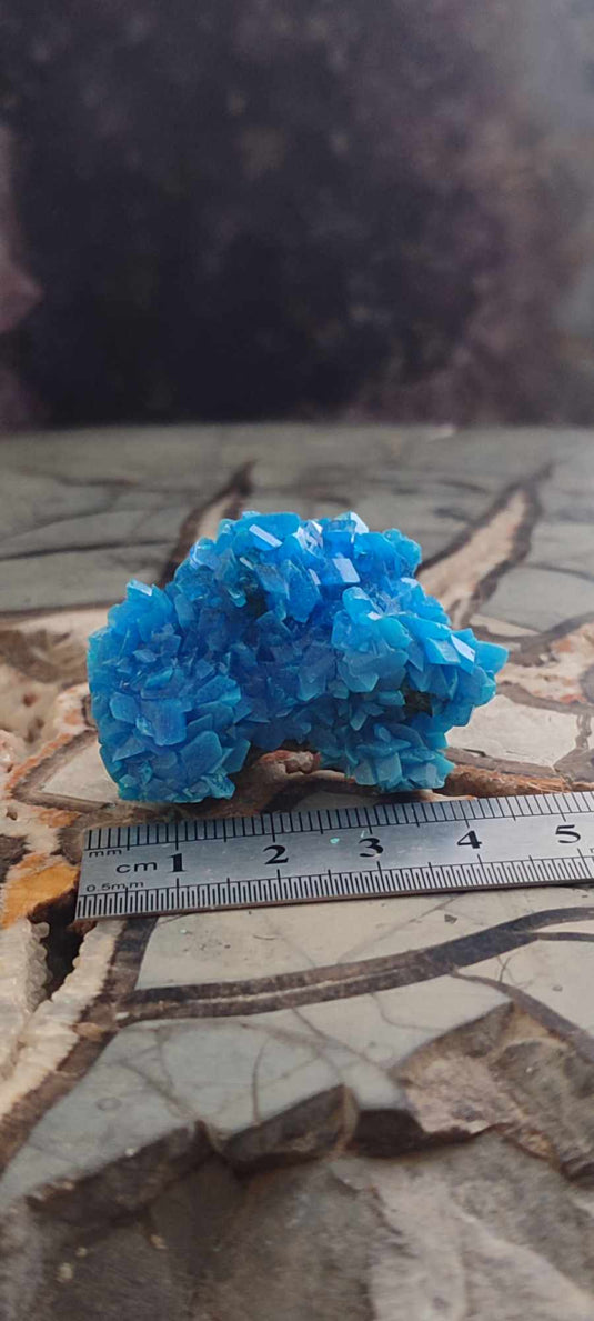 Chalcanthite de Pologne Grade A++++ Chalcanthite de Pologne Dans la besace du p'tit Poucet