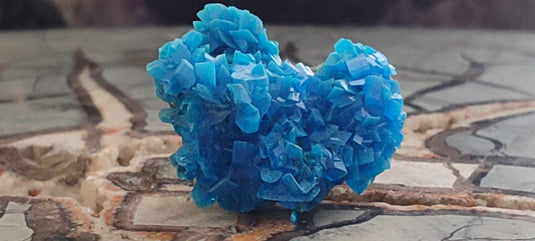 Chalcanthite de Pologne Grade A++++ Chalcanthite de Pologne Dans la besace du p'tit Poucet