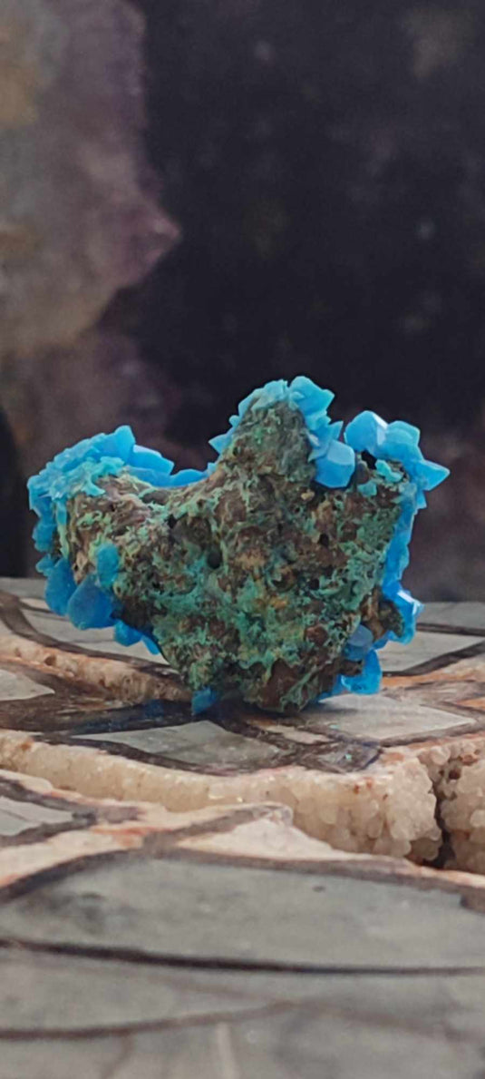 Chalcanthite de Pologne Grade A++++ Chalcanthite de Pologne Dans la besace du p'tit Poucet