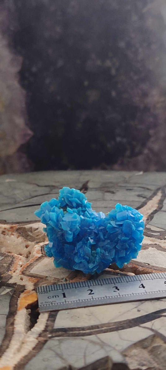 Chalcanthite de Pologne Grade A++++ Chalcanthite de Pologne Dans la besace du p'tit Poucet