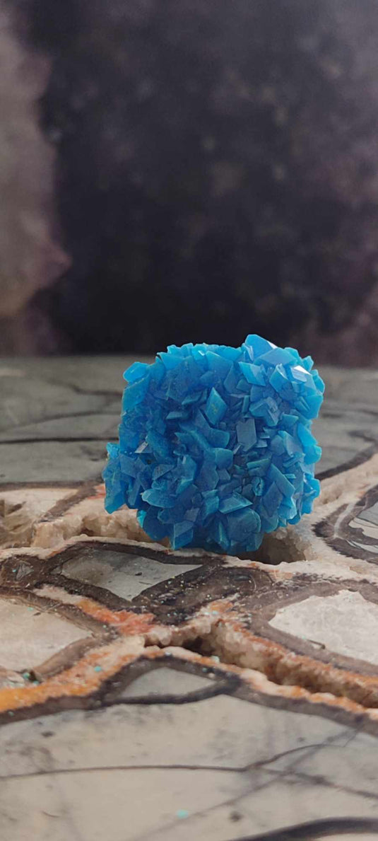 Chalcanthite de Pologne Grade A++++ Chalcanthite de Pologne Dans la besace du p'tit Poucet