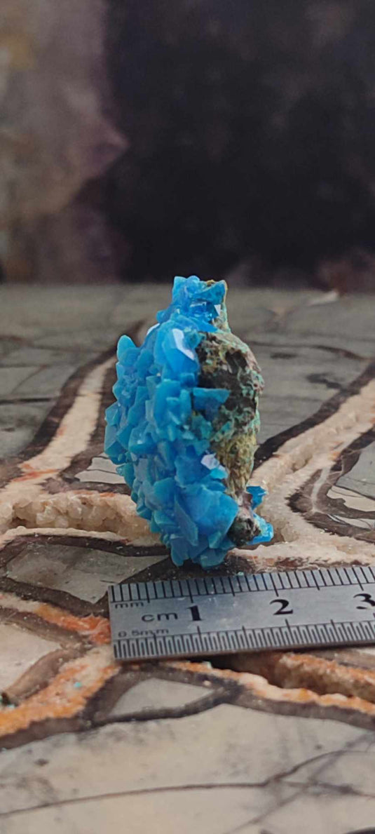 Chalcanthite de Pologne Grade A++++ Chalcanthite de Pologne Dans la besace du p'tit Poucet