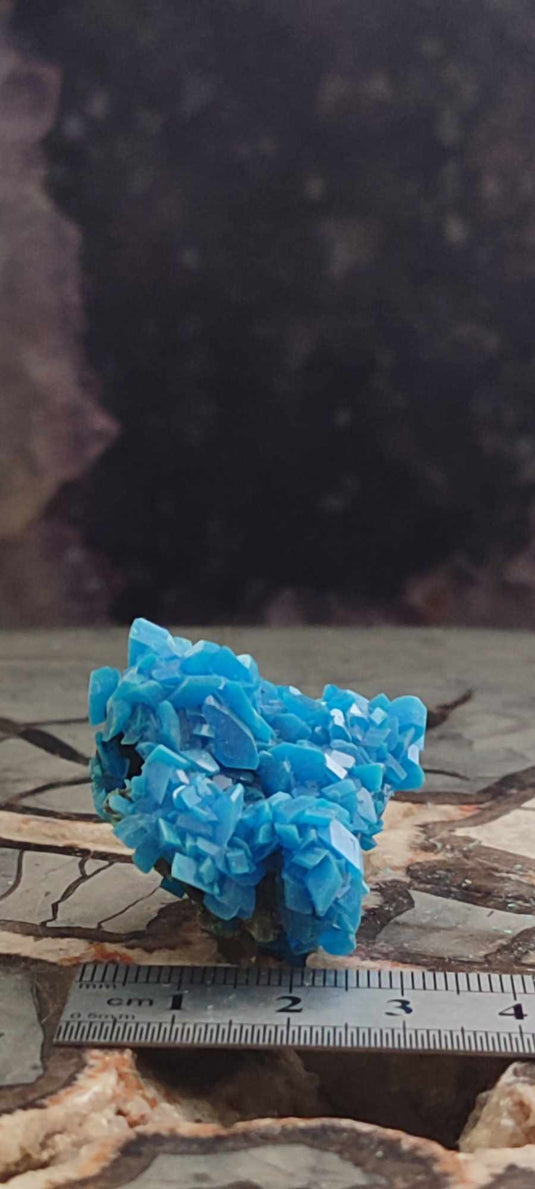 Chalcanthite de Pologne Grade A++++ Chalcanthite de Pologne Dans la besace du p'tit Poucet