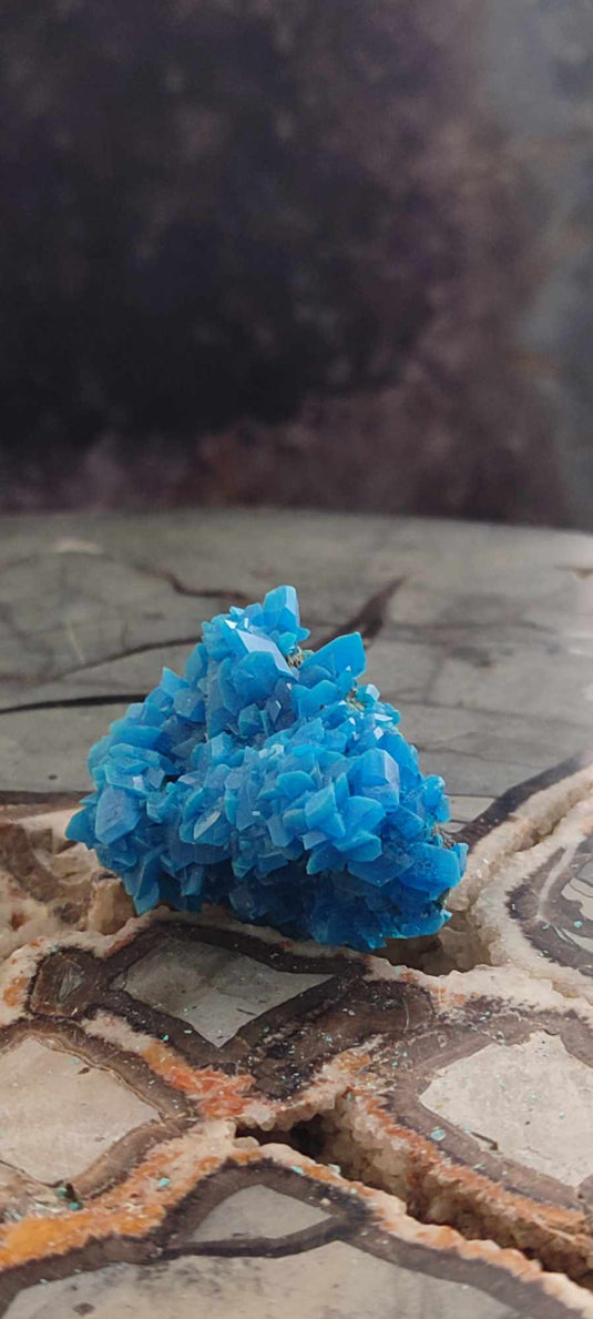 Chalcanthite de Pologne Grade A++++ Chalcanthite de Pologne Dans la besace du p'tit Poucet