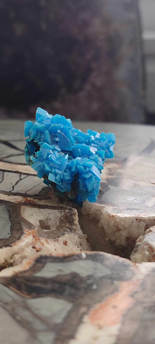 Chalcanthite de Pologne Grade A++++ Chalcanthite de Pologne Dans la besace du p'tit Poucet