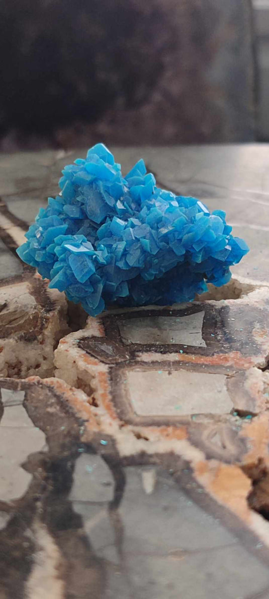 Chalcanthite de Pologne Grade A++++ Chalcanthite de Pologne Dans la besace du p'tit Poucet