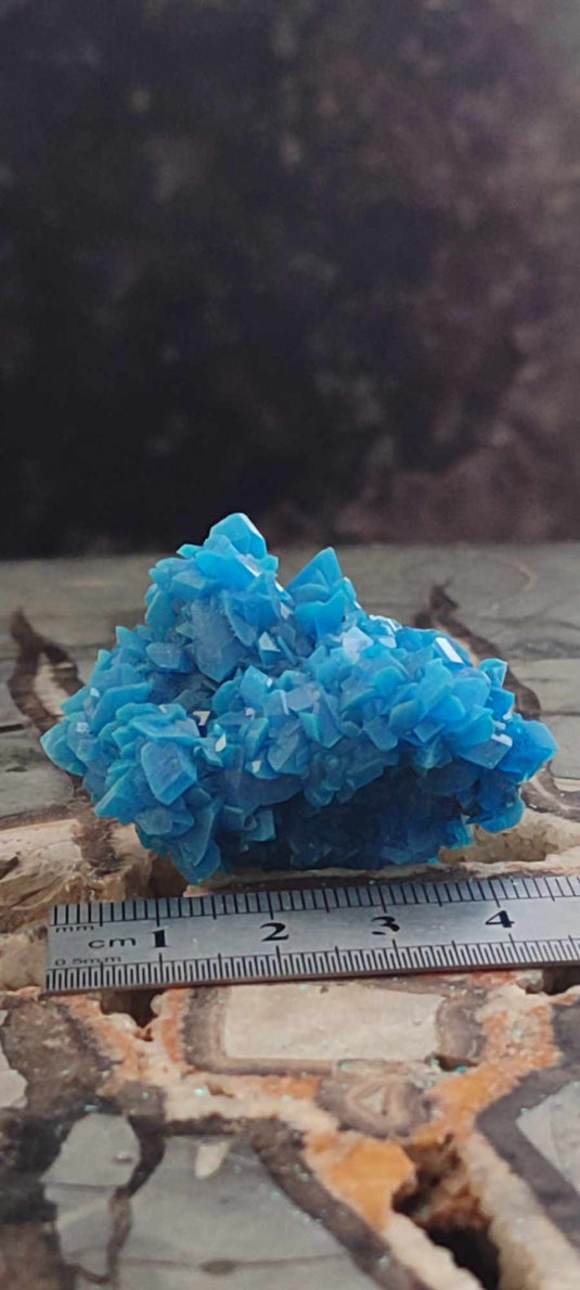 Chalcanthite de Pologne Grade A++++ Chalcanthite de Pologne Dans la besace du p'tit Poucet