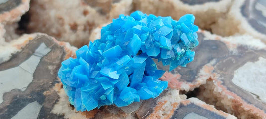 Chalcanthite de Pologne Grade A++++ Chalcanthite de Pologne Dans la besace du p'tit Poucet