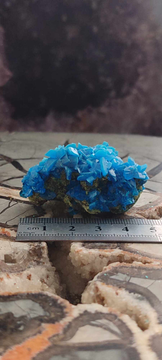 Chalcanthite de Pologne Grade A++++ Chalcanthite de Pologne Dans la besace du p'tit Poucet