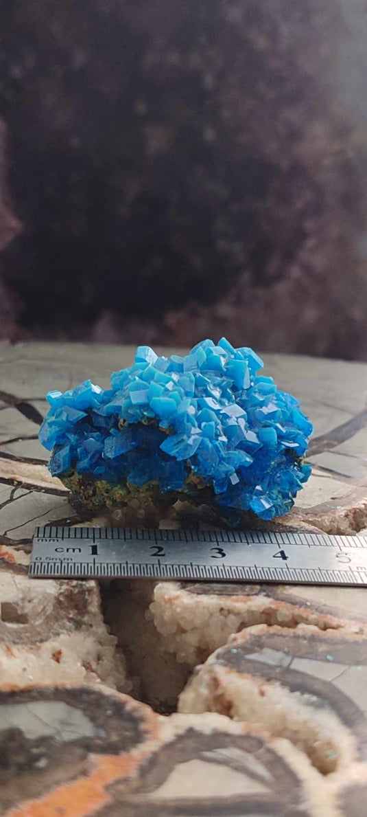 Chalcanthite de Pologne Grade A++++ Chalcanthite de Pologne Dans la besace du p'tit Poucet