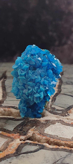 Chalcanthite de Pologne Grade A++++ Chalcanthite de Pologne Dans la besace du p'tit Poucet